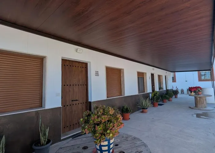 Apartamentos La Palmera