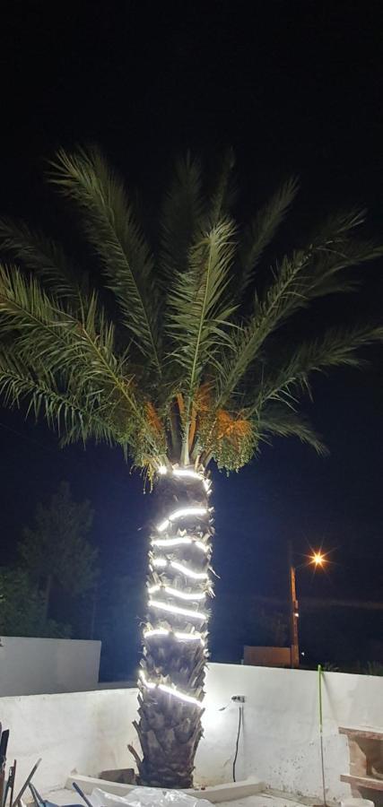 Apartment La Palmera *