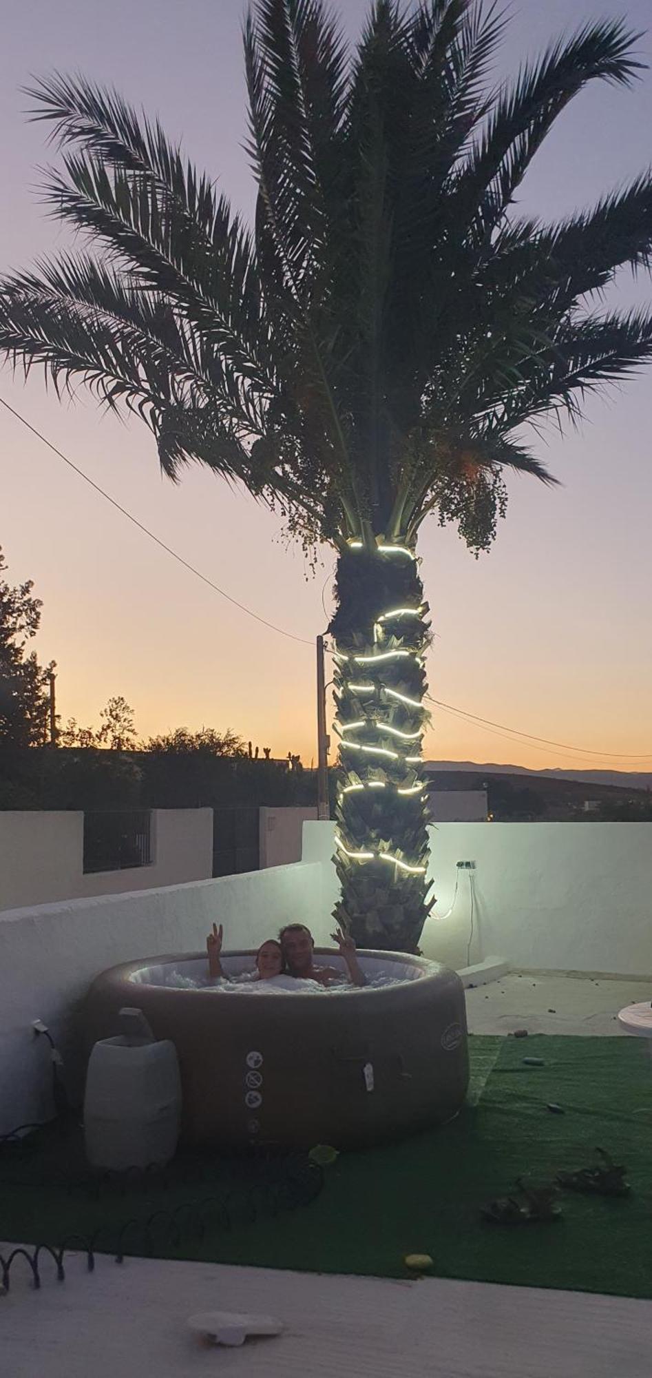 Apartment La Palmera
