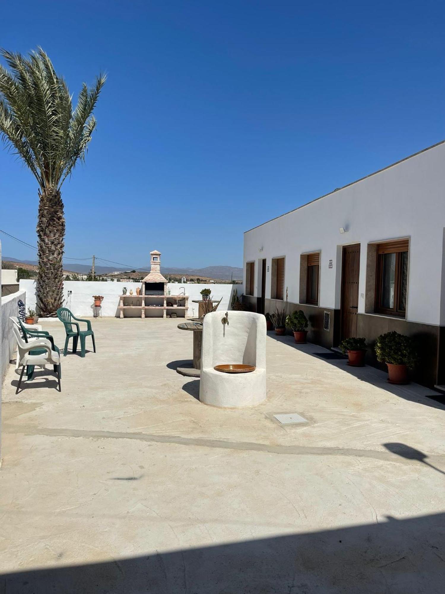 Apartment La Palmera