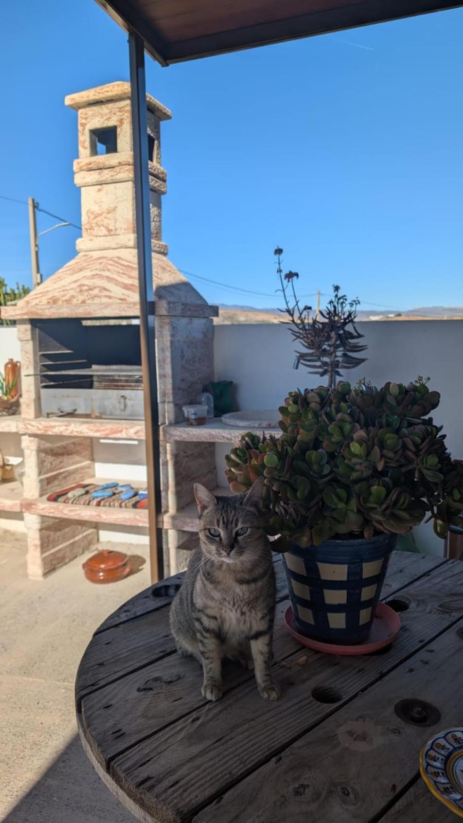 La Palmera *